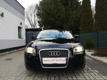 Audi A3 8P Hatchback 3d 1.9 TDI 105KM 2005 Audi A3 Sportback 1.9 TDI 105KM Klimatronik, zdjęcie 1