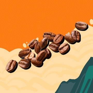 Кофе TRIP Бразилия в зернах 100% Арабика 1кг FRESH Roast