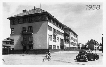 Bezpiecznik taśmowy 30A