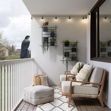 ЯСКОВ-СОКОЛ-ОТПУПЫВАТЕЛЬ ПТИЦ Скворцы ГОЛУБИ