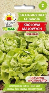 Sałata masłowa Królowa Majowych WCZESNA Nasiona 2g