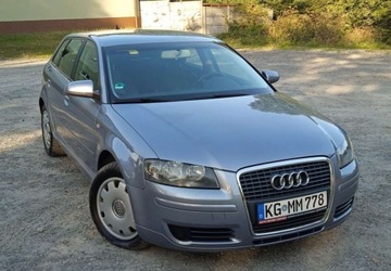 Audi A3 8P Hatchback 3d 1.6 FSI 115KM 2005 Audi A3 1,6 Benzyna 5 Drzwi Klima El szyby ..., zdjęcie 2