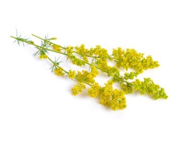 EQUIHERBS, Zioła dla koni PRZYTULIA WŁAŚCIWA 1 kg