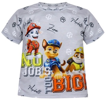 T-SHIRT Chłopięcy Krótki Rękaw Kreskówka Bajka Bawełna r 104 3360