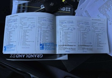 Opel 2019 Opel Grandland X 130 KM manual BEZWYPADKOWY gwarancja ZAREJESTROWANY, zdjęcie 35