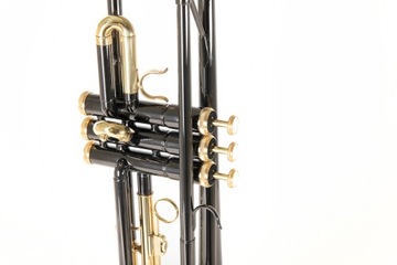 Труба в настройке Bb Roy Benson TR-101K