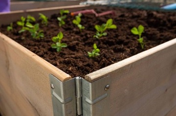 ЯЩИК ДЛЯ ОВОЩЕЙ ДЕРЕВЯННЫЙ ТРАВНИК 80х120х20см ВЫСОКИЙ ОСМОТР