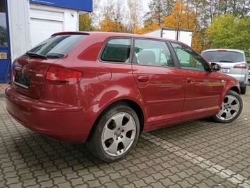Audi A3 8P Hatchback 3d 1.6 FSI 115KM 2007 Audi A3 Sportback 1.6 benzyna CLIMATRONIC PIEKNY kolor bez rdzy 1.6 115KM, zdjęcie 19