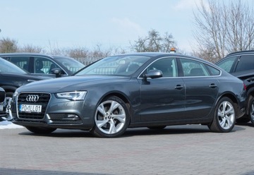 Audi A8 D4 2016 Audi A5 TDi190 Quattro Krajowa Skóra Hak Kamera Sam Parkuje LKA Fotel Sport, zdjęcie 29