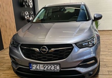 Opel 2019 Opel Grandland X 130 KM manual BEZWYPADKOWY gwarancja ZAREJESTROWANY, zdjęcie 14