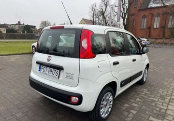 Fiat Panda III Hatchback 5d seria 3 1.2 69KM 2019 Fiat Panda Fiat Panda 1.2 StartampStop Pop 1.2 Benzyna 69KM, zdjęcie 5