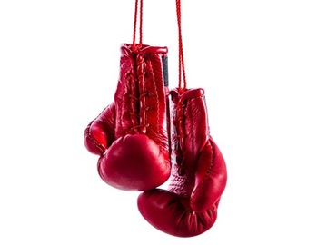 БРЕЛОК ДЛЯ АВТОМОБИЛЬНЫХ ЗЕРКАЛ TWINS SPECIAL