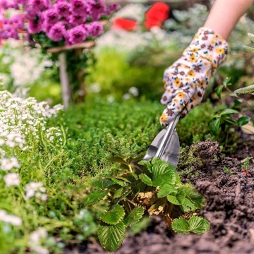 2 резца, прополка, съемник, прополка