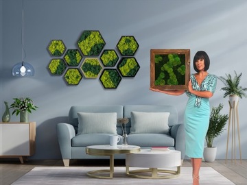 Mech PŁASKI średni zielony szwedzki 200g netto Dekoracyjny żywy ozdobny