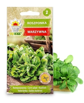 NASIONA ROSZPONKA WARZYWNA TORAF WARZYWA OGRÓD 1G
