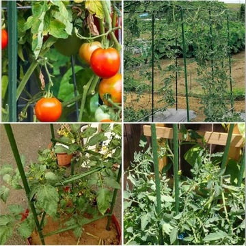 Опора для растений томатов 150 см, 10 шт. СТАЛЬНЫЕ опоры для томатов