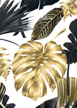 Monstera złota Plakat Plakaty B2 70x50cm Papier200