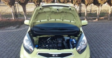 Kia Picanto II Hatchback 5d 1.0 69KM 2013 Kia Picanto Kia Picanto 1.0 Attract Benzyna 69KM, zdjęcie 12