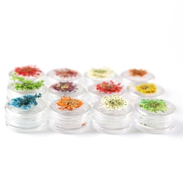 СУШЕНЫЕ ЦВЕТЫ СУХИЕ ЦВЕТЫ ДЛЯ НОГТЕЙ