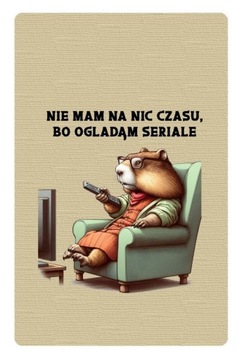 Magnes Nie mam na nic czasu, bo oglądam seriale świstak telewizor serial