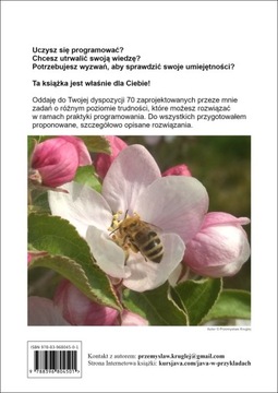 Java в примерах - Пшемыслав Круглей