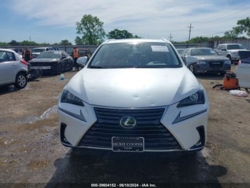 Lexus NX I 2020 Lexus NX 2020r., 4x4, 2.0L 2.0 Benzyna 235KM, zdjęcie 6