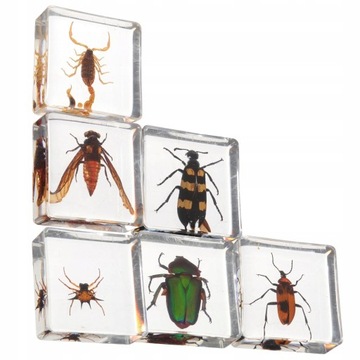 Смоляное украшение в виде насекомых, 6 шт.