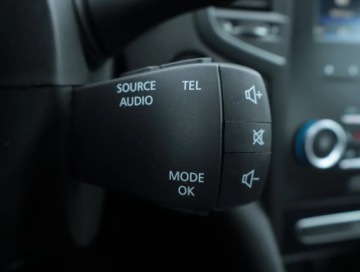Renault Megane IV 2016 Renault Megane 1.2 TCe, Salon Polska, Skóra, Navi, zdjęcie 20