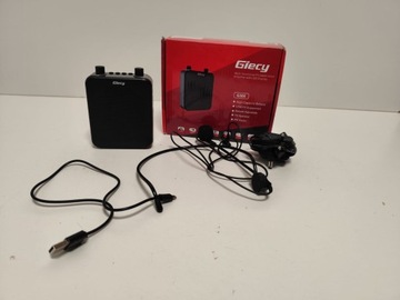 Усилитель голоса GIANT G300 1298/24