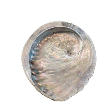 Podstawka pod Kadzidło Kadzidełko do Palo Santo Muszla Abalone Rozmiar M