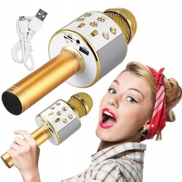 GŁOŚNIK MIKROFON KARAOKE HYKKER BMS-300 ZŁOTY