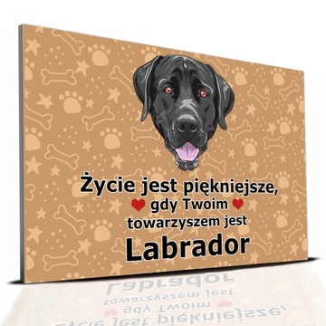 TABLICZKA PCV CIEMNO BRĄZOWY ŻYCIE JEST PIĘKNE LABRADOR PREZENT MIX WZORÓW