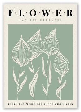 BOHO kwiat zieleń PLAKAT OBRAZ B2 50x70cm #W15