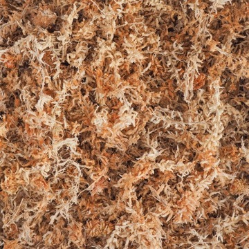 Mech Torfowiec SPHAGNUM 1L Podłoże do Ukorzeniania