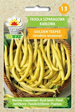 FASOLA GOLDEN TEEPEE 30 g ŻÓŁTA KARŁOWA 'T