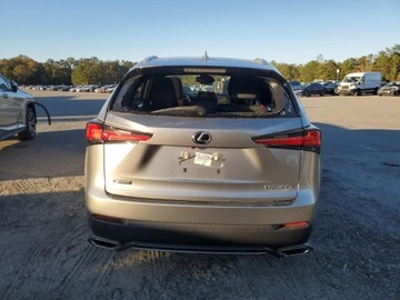 Lexus NX II 2021 Lexus NX 300 Base 2021 2.0L 2.0 Benzyna 235KM, zdjęcie 2