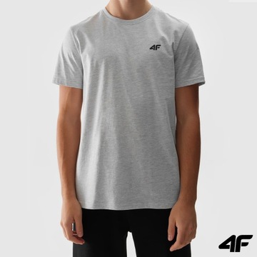 Мужская футболка 4F из хлопка Sports Casual Limited SS24
