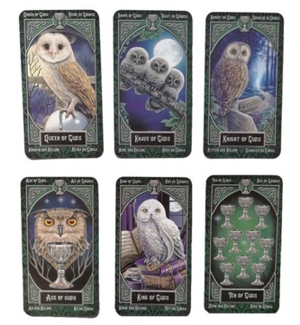 ИГРОВЫЕ КАРТЫ ТАРО С КОШКАМИ НАБОР КАРТ ТАРО ФАМИЛИАРЫ 78