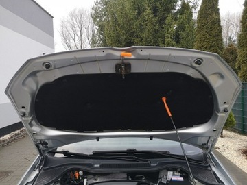 Volkswagen Polo V Hatchback 5d 1.2 TDI-CR DPF 75KM 2010 Volkswagen Polo 1.2 TDI 75KM # Klima # Parktronik, zdjęcie 19