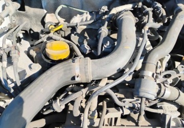 Renault Clio IV Hatchback 5d Facelifting 0.9 Energy TCe 76KM 2019 Renault Clio 2019r Salonowy. 0.9 Benzyna. VAN. Uszkodzony lewy przod. Jezd, zdjęcie 14