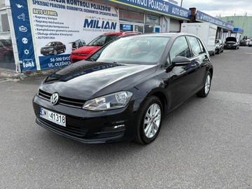 Volkswagen Golf VII Hatchback 3d 1.6 TDI BlueMotion 110KM 2015 Volkswagen Golf VII 1.6TDI 110KM Super Stan! 2015, zdjęcie 1