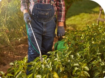 МОСПИЛАН 20 СП 20г РАСПЫЛИТЕЛЬ-ИНСЕКТИЦИД ПРОТИВ ТЛИ, ТЛИ.