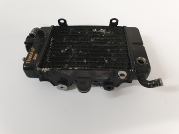 Трансальповый охладитель воды Honda XL 600