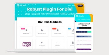 Divi Essential Supreme DiviFlash Plus 100+ modułów