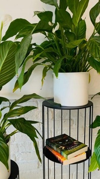 ПОДСТАВКА ДЛЯ ЦВЕТОВ МЕТАЛЛИЧЕСКАЯ ПОДСТАВКА ДЛЯ ЦВЕТОВ ЧЕРНАЯ НАСТОЛЬНАЯ ПОДСТАВКА LOFT 80 СМ