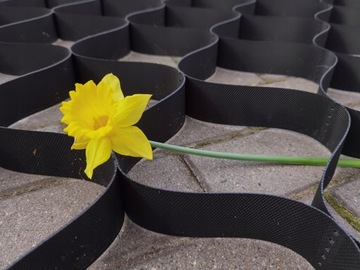 Ячеистая георешетка Геосетка 5см 4м х 3,5м ПЛОТНАЯ