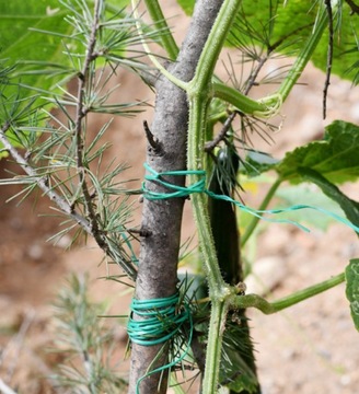 САДОВАЯ ПРОВОЛОКА СО ВЯЗАТЕЛЬНЫМ РЕЗКОМ 1 X 50М BRADAS STRONG LONG