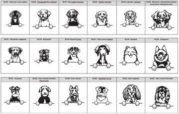 ИДЕНТИФИКАЦИОННАЯ СУМКА ДЛЯ СОБАК - ВСЕ ПОРОДЫ XL