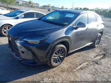 Lexus NX II 2024 Lexus NX 250 PREMIUM, 2024r., 2.5L 2.5 Benzyna 203KM, zdjęcie 1