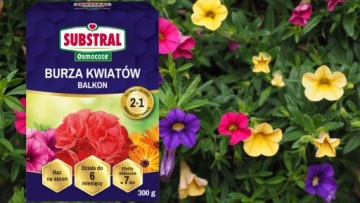 2в1 Flower Storm Substral Osmocote 300г цветочное удобрение